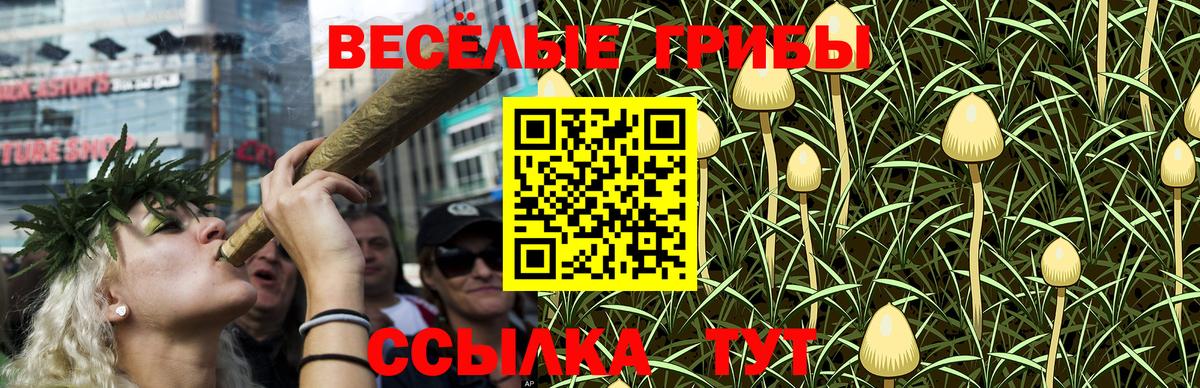 Галлюциногенные грибы GOLDEN TEACHER Строитель